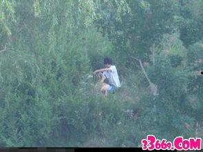 国产树林野战在线播放,热血激战，在线热血沸腾  第2张