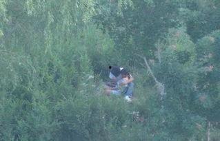 国产树林野战在线播放,热血激战，在线热血沸腾  第3张