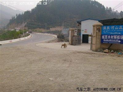 3p国产,多元文化交融的奇迹之地  第2张