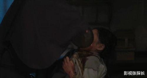 国产精视频,引领视听新潮流的匠心之作  第2张