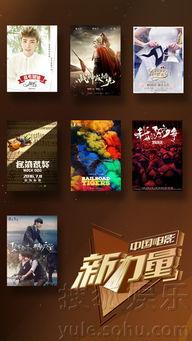 国产片精品,光影中的民族骄傲与时代印记  第1张